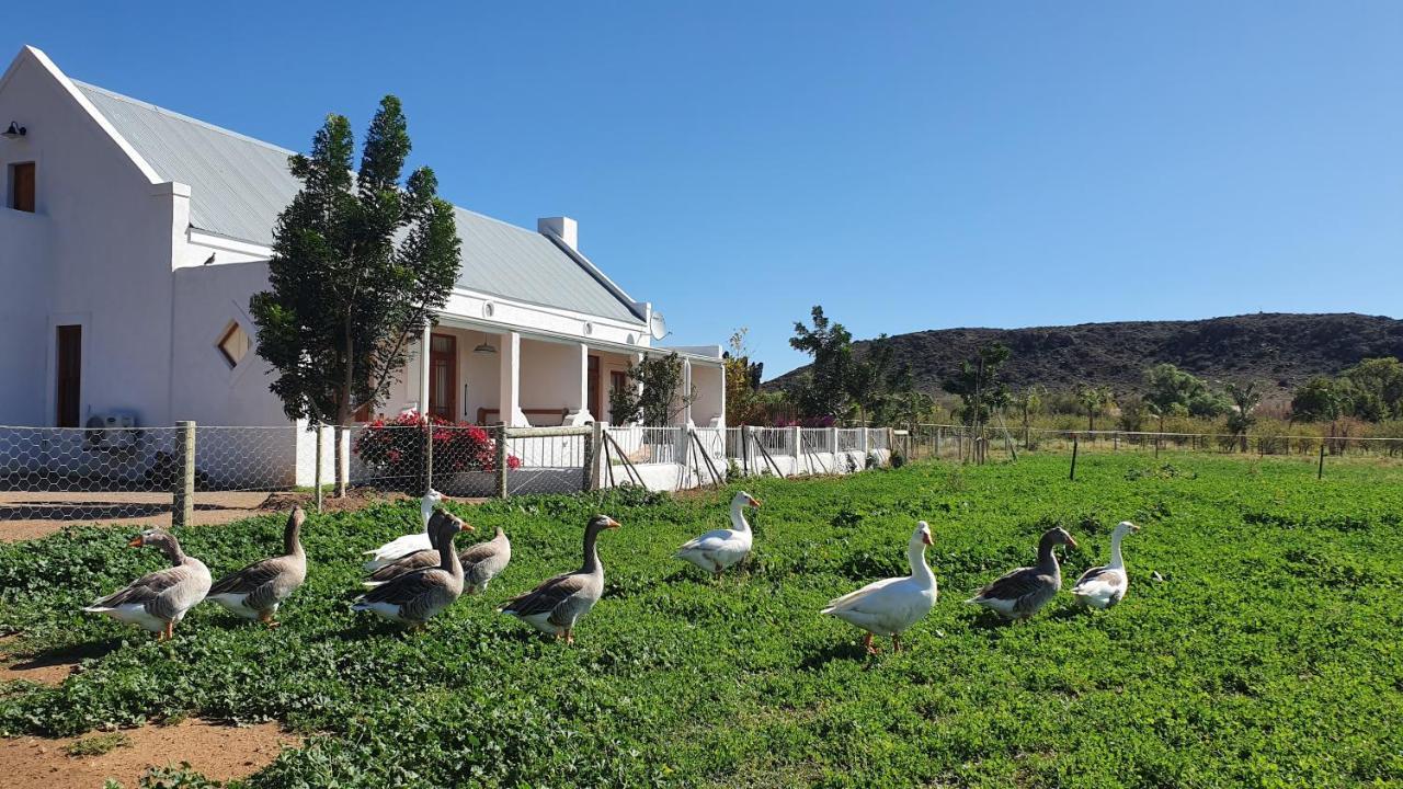 Гостевой дом Mirtehof Guest Farm Estate Принс-Альберт Экстерьер фото